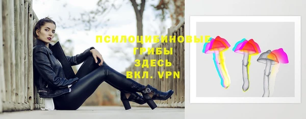 a pvp Алексин