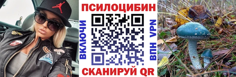 где купить наркоту  Электрогорск  Псилоцибиновые грибы ЛСД 