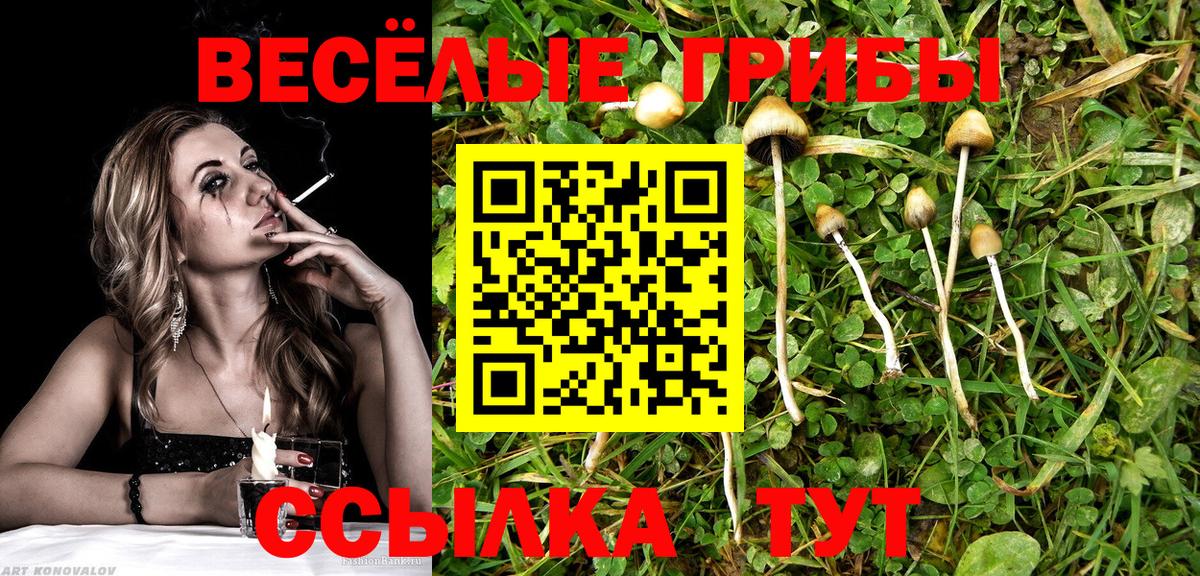 Псилоцибиновые грибы Cubensis  Галлюциногенные грибы мицелий  закладка  Электрогорск  Вход с VPN 