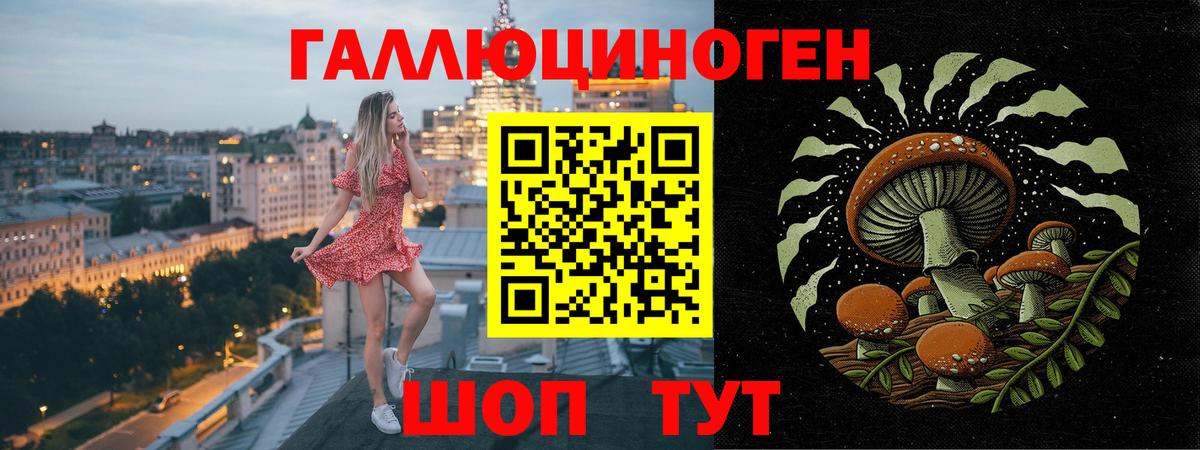 Псилоцибиновые грибы Psilocybine cubensis Электрогорск
